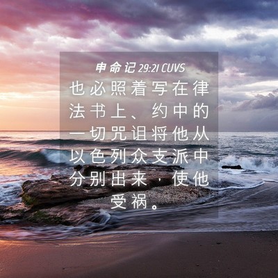 Picture 04 - 申 命 记 29:21 CUVS - 也 必 照 着 写 在 律 法 书 上 、 约 - Bible Verse Picture