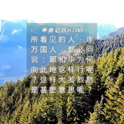 Picture 04 - 申 命 记 29:24 CUVS - 所 看 见 的 人 ， 连 万 国 人 ， 都 - Bible Verse Picture