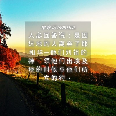 Picture 04 - 申 命 记 29:25 CUVS - 人 必 回 答 说 ： 是 因 这 地 的 人 - Bible Verse Picture