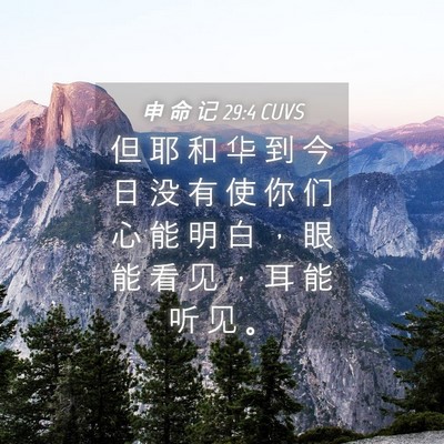 Picture 04 - 申 命 记 29:4 CUVS - 但 耶 和 华 到 今 日 没 有 使 你 们 - Bible Verse Picture