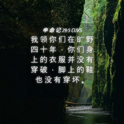 Picture 04 - 申 命 记 29:5 CUVS - 我 领 你 们 在 旷 野 四 十 年 ， 你 - Bible Verse Picture