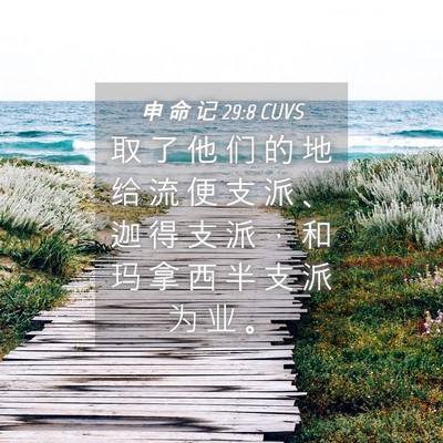 Picture 04 - 申 命 记 29:8 CUVS - 取 了 他 们 的 地 给 流 便 支 派 、 - Bible Verse Picture