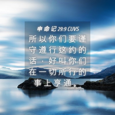 Picture 04 - 申 命 记 29:9 CUVS - 所 以 你 们 要 谨 守 遵 行 这 约 的 - Bible Verse Picture
