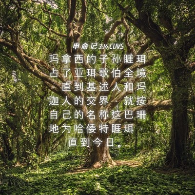 Picture 04 - 申 命 记 3:14 CUVS - 玛 拿 西 的 子 孙 睚 珥 占 了 亚 珥 - Bible Verse Picture