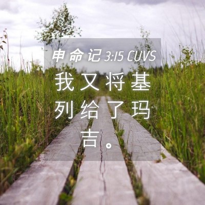 Picture 04 - 申 命 记 3:15 CUVS - 我 又 将 基 列 给 了 玛 吉 - Bible Verse Picture