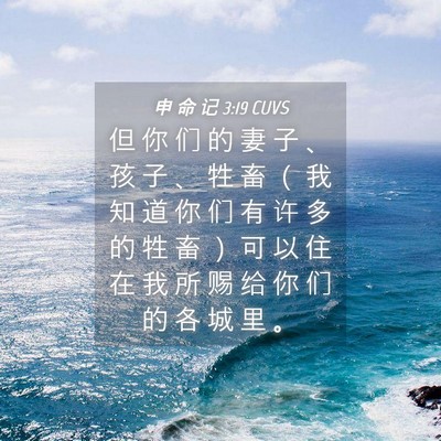 Picture 04 - 申 命 记 3:19 CUVS - 但 你 们 的 妻 子 、 孩 子 、 牲 畜 - Bible Verse Picture
