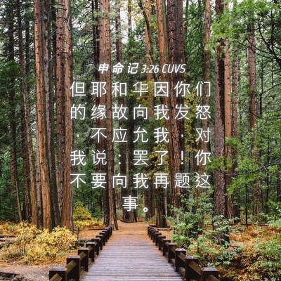 Picture 04 - 申 命 记 3:26 CUVS - 但 耶 和 华 因 你 们 的 缘 故 向 我 - Bible Verse Picture