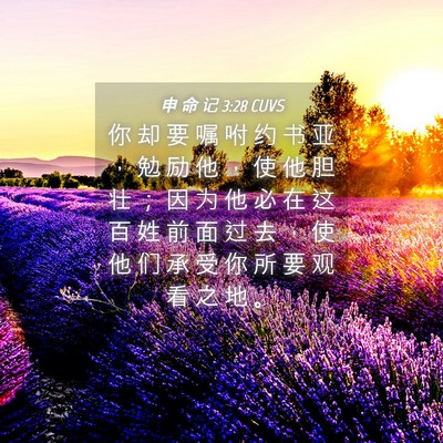 Picture 04 - 申 命 记 3:28 CUVS - 你 却 要 嘱 咐 约 书 亚 ， 勉 励 他 - Bible Verse Picture