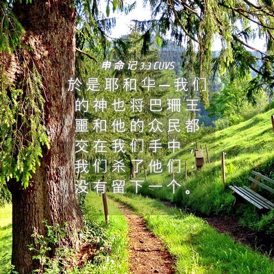 Picture 04 - 申 命 记 3:3 CUVS - 於 是 耶 和 华 ─ 我 们 的 神 也 将 - Bible Verse Picture
