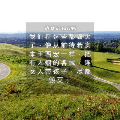 Picture 04 - 申 命 记 3:6 CUVS - 我 们 将 这 些 都 毁 灭 了 ， 像 从 - Bible Verse Picture