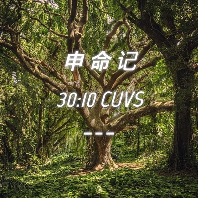 Picture 04 - 申 命 记 30:10 CUVS -  - Bible Verse Picture