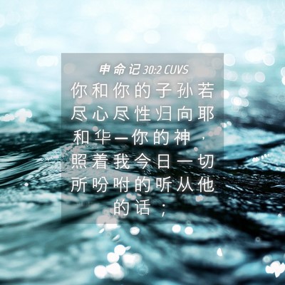 Picture 04 - 申 命 记 30:2 CUVS - 你 和 你 的 子 孙 若 尽 心 尽 性 归 - Bible Verse Picture