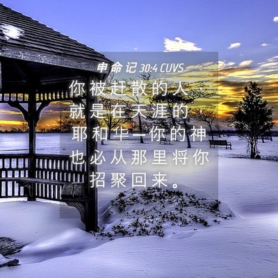 Picture 04 - 申 命 记 30:4 CUVS - 你 被 赶 散 的 人 ， 就 是 在 天 涯 - Bible Verse Picture