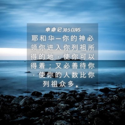 Picture 04 - 申 命 记 30:5 CUVS - 耶 和 华 ─ 你 的 神 必 领 你 进 入 - Bible Verse Picture
