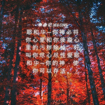 Picture 04 - 申 命 记 30:6 CUVS - 耶 和 华 ─ 你 神 必 将 你 心 里 和 - Bible Verse Picture
