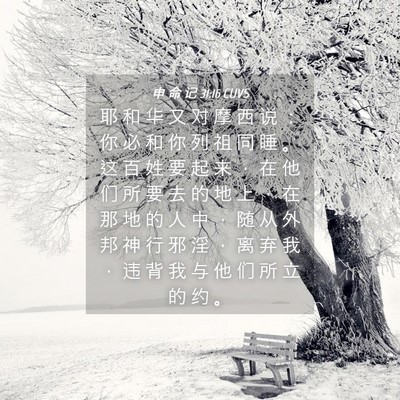 Picture 04 - 申 命 记 31:16 CUVS - 耶 和 华 又 对 摩 西 说 ： 你 必 和 - Bible Verse Picture