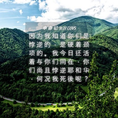Picture 04 - 申 命 记 31:27 CUVS - 因 为 我 知 道 你 们 是 悖 逆 的 ， - Bible Verse Picture