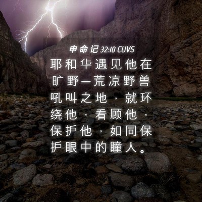 Picture 04 - 申 命 记 32:10 CUVS - 耶 和 华 遇 见 他 在 旷 野 ─ 荒 凉 - Bible Verse Picture