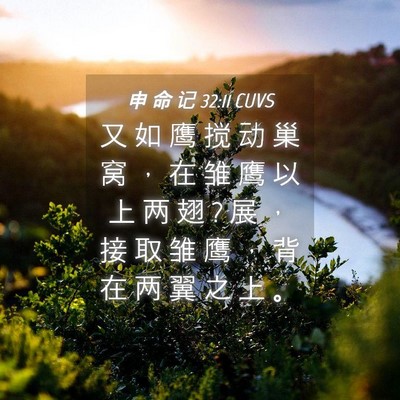 Picture 04 - 申 命 记 32:11 CUVS - 又 如 鹰 搅 动 巢 窝 ， 在 雏 鹰 以 - Bible Verse Picture