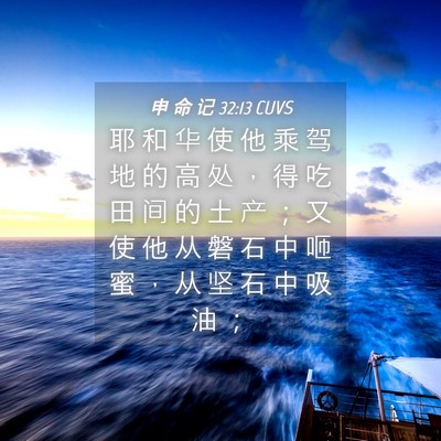 Picture 04 - 申 命 记 32:13 CUVS - 耶 和 华 使 他 乘 驾 地 的 高 处 ， - Bible Verse Picture