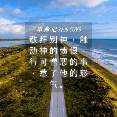 Picture 04 - 申 命 记 32:16 CUVS - 敬 拜 别 神 ， 触 动 神 的 愤 恨 ， - Bible Verse Picture