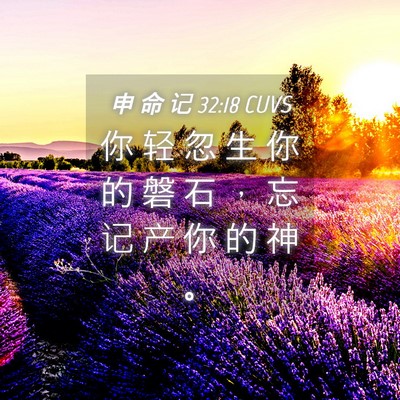 Picture 04 - 申 命 记 32:18 CUVS - 你 轻 忽 生 你 的 磐 石 ， 忘 记 产 - Bible Verse Picture