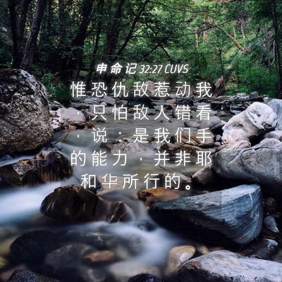 Picture 04 - 申 命 记 32:27 CUVS - 惟 恐 仇 敌 惹 动 我 ， 只 怕 敌 人 - Bible Verse Picture