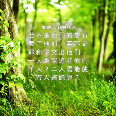 Picture 04 - 申 命 记 32:30 CUVS - 若 不 是 他 们 的 磐 石 卖 了 他 们 - Bible Verse Picture