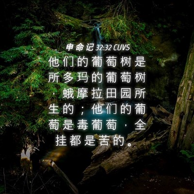 Picture 04 - 申 命 记 32:32 CUVS - 他 们 的 葡 萄 树 是 所 多 玛 的 葡 - Bible Verse Picture