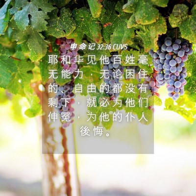 Picture 04 - 申 命 记 32:36 CUVS - 耶 和 华 见 他 百 姓 毫 无 能 力 ， - Bible Verse Picture