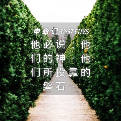 Picture 04 - 申 命 记 32:37 CUVS - 他 必 说 ： 他 们 的 神 ， 他 们 所 - Bible Verse Picture