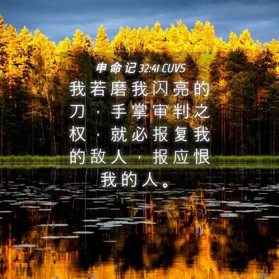 Picture 04 - 申 命 记 32:41 CUVS - 我 若 磨 我 闪 亮 的 刀 ， 手 掌 审 - Bible Verse Picture