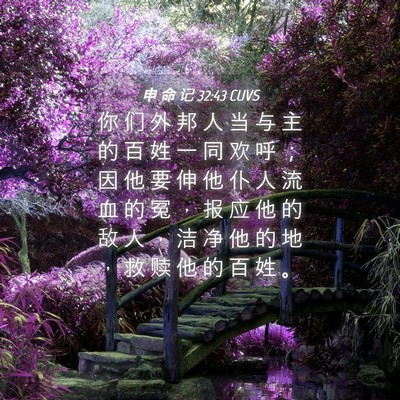 Picture 04 - 申 命 记 32:43 CUVS - 你 们 外 邦 人 当 与 主 的 百 姓 一 - Bible Verse Picture