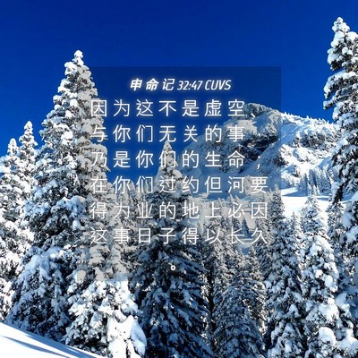 Picture 04 - 申 命 记 32:47 CUVS - 因 为 这 不 是 虚 空 、 与 你 们 无 - Bible Verse Picture