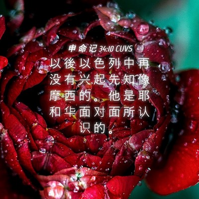 Picture 04 - 申 命 记 34:10 CUVS - 以 後 以 色 列 中 再 没 有 兴 起 先 - Bible Verse Picture