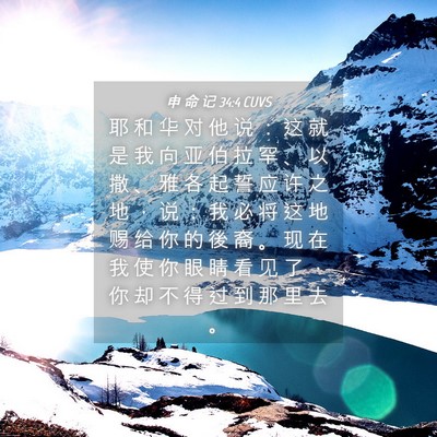 Picture 04 - 申 命 记 34:4 CUVS - 耶 和 华 对 他 说 ： 这 就 是 我 向 - Bible Verse Picture