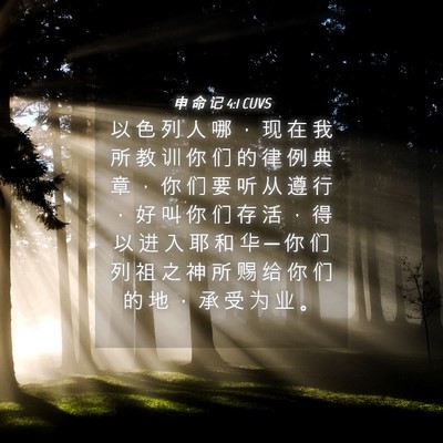 Picture 04 - 申 命 记 4:1 CUVS - 以 色 列 人 哪 ， 现 在 我 所 教 训 - Bible Verse Picture