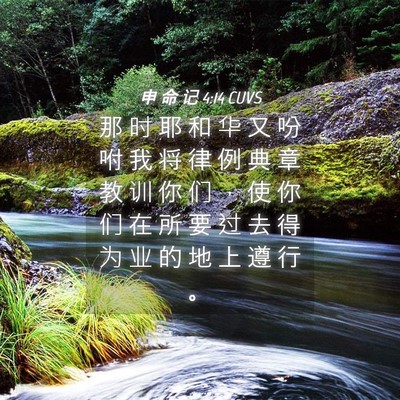 Picture 04 - 申 命 记 4:14 CUVS - 那 时 耶 和 华 又 吩 咐 我 将 律 例 - Bible Verse Picture