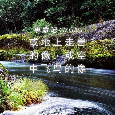 Picture 04 - 申 命 记 4:17 CUVS - 或 地 上 走 兽 的 像 ， 或 空 中 飞 - Bible Verse Picture