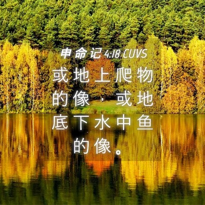 Picture 04 - 申 命 记 4:18 CUVS - 或 地 上 爬 物 的 像 ， 或 地 底 下 - Bible Verse Picture