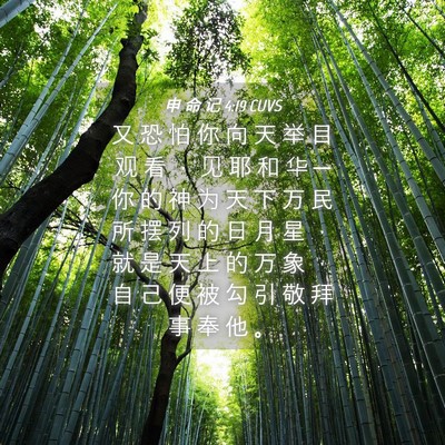 Picture 04 - 申 命 记 4:19 CUVS - 又 恐 怕 你 向 天 举 目 观 看 ， 见 - Bible Verse Picture