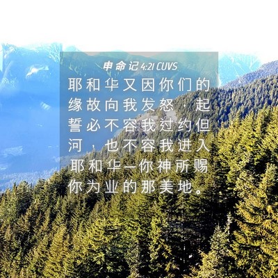 Picture 04 - 申 命 记 4:21 CUVS - 耶 和 华 又 因 你 们 的 缘 故 向 我 - Bible Verse Picture