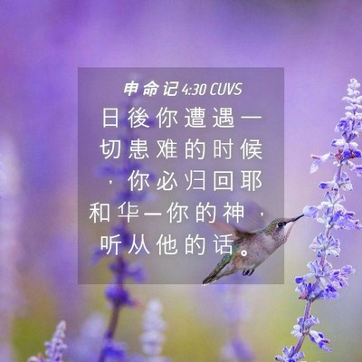 Picture 04 - 申 命 记 4:30 CUVS - 日 後 你 遭 遇 一 切 患 难 的 时 候 - Bible Verse Picture