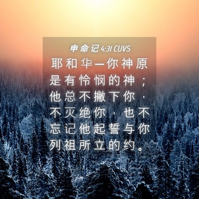 Picture 04 - 申 命 记 4:31 CUVS - 耶 和 华 ─ 你 神 原 是 有 怜 悯 的 - Bible Verse Picture