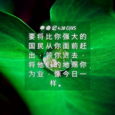 Picture 04 - 申 命 记 4:38 CUVS - 要 将 比 你 强 大 的 国 民 从 你 面 - Bible Verse Picture