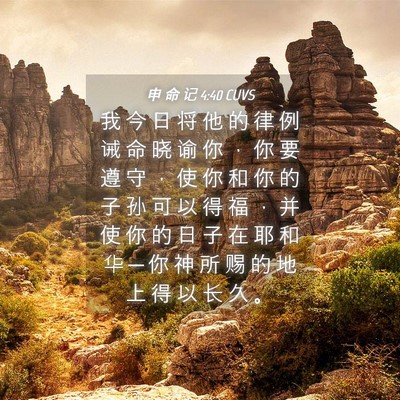 Picture 04 - 申 命 记 4:40 CUVS - 我 今 日 将 他 的 律 例 诫 命 晓 谕 - Bible Verse Picture