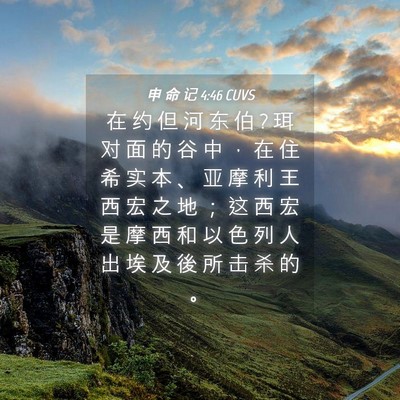 Picture 04 - 申 命 记 4:46 CUVS - 在 约 但 河 东 伯 ? 珥 对 面 的 谷 中 - Bible Verse Picture