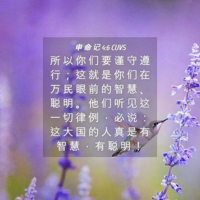 Picture 04 - 申 命 记 4:6 CUVS - 所 以 你 们 要 谨 守 遵 行 ； 这 就 - Bible Verse Picture