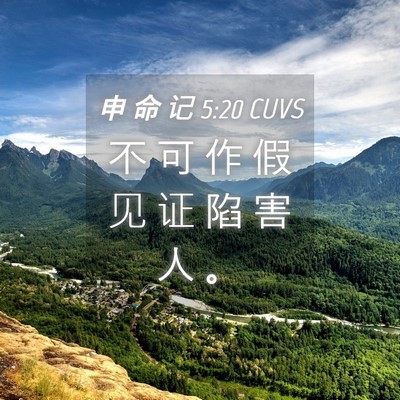 Picture 04 - 申 命 记 5:20 CUVS - 不 可 作 假 见 证 陷 害 人 - Bible Verse Picture