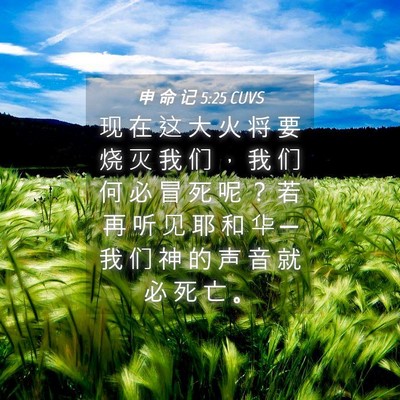 Picture 04 - 申 命 记 5:25 CUVS - 现 在 这 大 火 将 要 烧 灭 我 们 ， - Bible Verse Picture